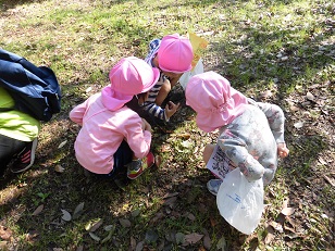 写真:舎人公園　遠足2