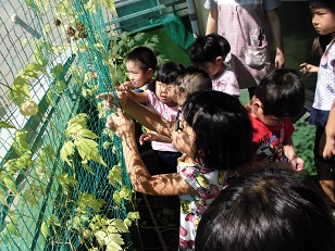 写真:秋の草花に触れて3