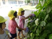 写真:お花を触る子どもたち