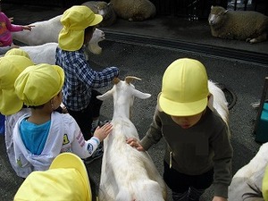 写真:遠足