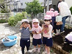 写真:幼稚園でおいもほり2