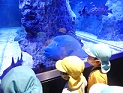 写真:すみだ水族館遠足4