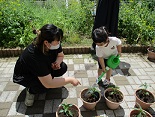 写真:育てる活動