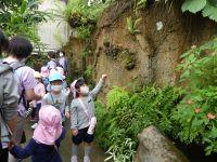 写真:足立区生物園遠足5