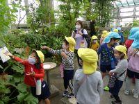 写真:足立区生物園遠足6