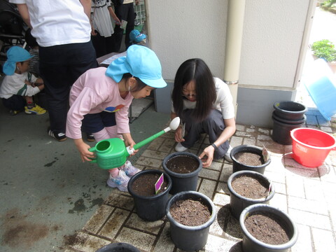 親子で栽培物に水やりをする様子