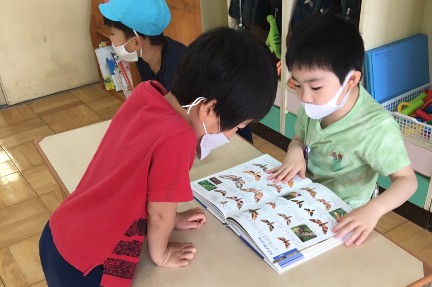 写真:図鑑で調べる子どもたち