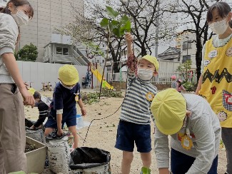 写真:さつまいもを収穫する子どもたち