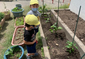 写真:次の収穫を楽しみにしている子どもたち