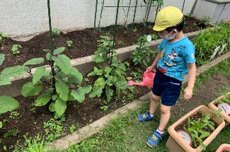 写真:水やりをする子ども