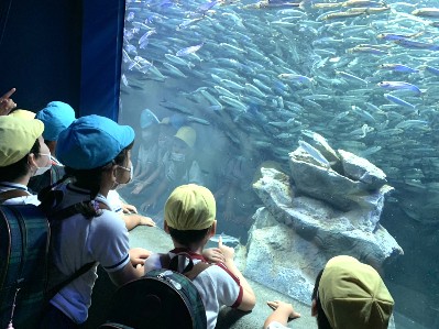 写真:サンシャイン水族館へ遠足2