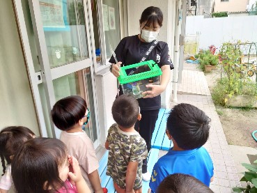 写真:虫を空に帰してあげる子どもたち