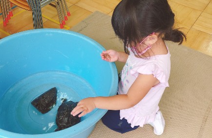 写真:亀をさわる子ども