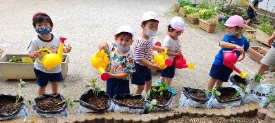 写真:お水をあげる子どもたち