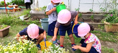 写真:虫探しに興味津々の子どもたち