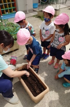 写真:土を優しくかける子どもたち