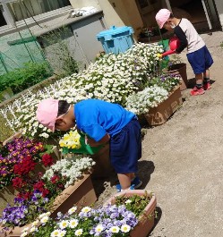 写真:水やりをする子どもたち