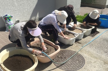 写真:田植え作業1