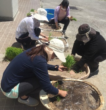 写真:田植え作業2