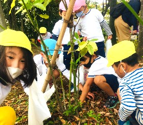 写真:どんぐり拾いをする子どもたち