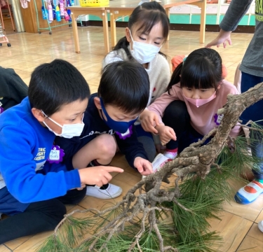 写真:松の木をさわる子どもたち
