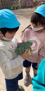 写真:収穫を喜ぶ子どもたち2