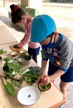 写真:ままごと遊びをする子どもたち