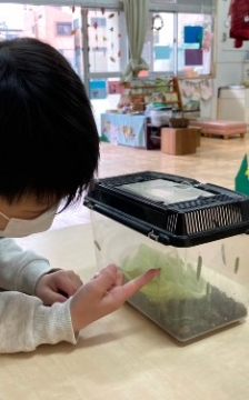 写真:虫を見る子ども