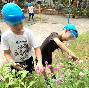 写真:お花を収穫する子どもたち1