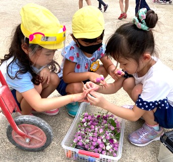 写真:お花を収穫する子どもたち2