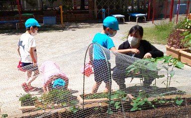 写真:草花にお水をあげる子どもたち