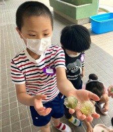 写真:凍らせた草花を持つ子どもたち