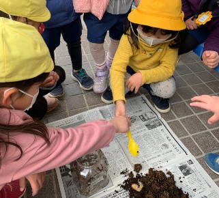 写真:幼虫の土を取り替える子どもたち