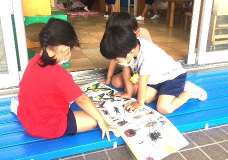 写真:虫の図鑑を見る子どもたち