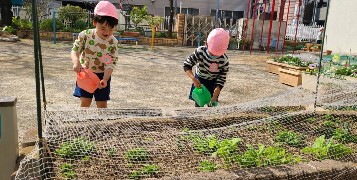 写真:水やりをする子どもたち