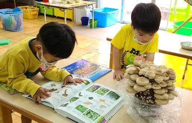 写真:栽培物とのふれあい1