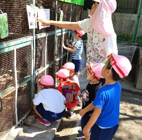 写真:ウサギさん