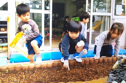 写真:芽を見る子どもたち