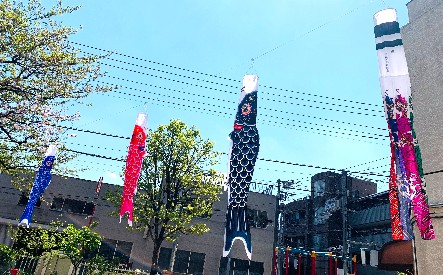 写真:青い空と大きな鯉のぼり