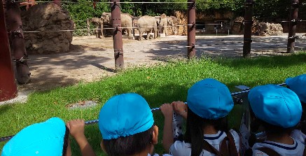 写真:象を見つめる子どもたち