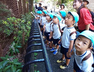 写真:檻の中を見上げる子どもたち