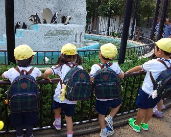 写真:ペンギンを見ている子どもたち