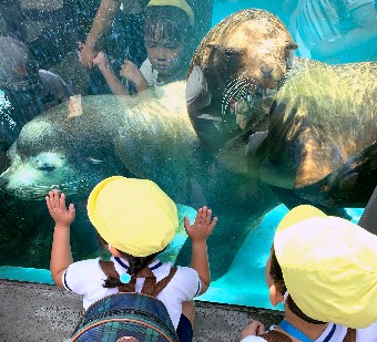 写真:目の前に来たアザラシを見る子どもたち