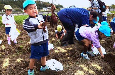 写真:支援員さんと一緒にお芋ほりを頑張る子どもたち