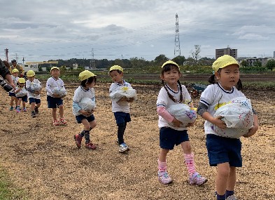 写真:マイバックに入れてさつまいもを運ぶ子どもたち