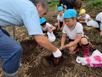 写真:芋をほる用務主事さんと子どもたち