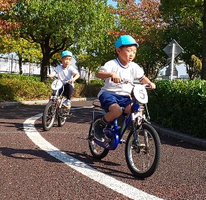 写真:バランスよく自転車に乗る子どもたち