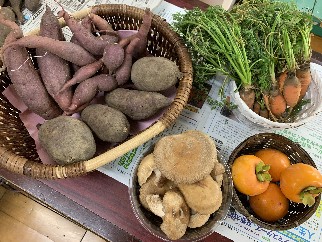 写真:収穫した野菜やきのこやカキ