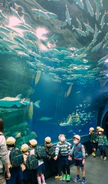 写真:海中トンネルの魚の大群を見ている子どもたち1