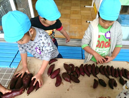 写真:サツマイモを洗う子どもたち